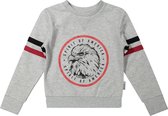 Vinrose jongens sweater grey melange maat 122/128