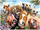 Metalen wandbord Paarden Selfie - 20 x 30 cm