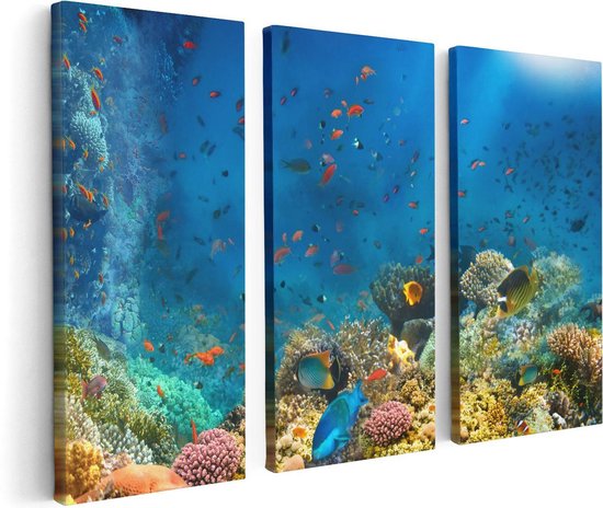 Artaza Canvas Schilderij Drieluik Onderwater Vissen Met Koraal In De Zee - 120x80 - Foto Op Canvas - Canvas Print