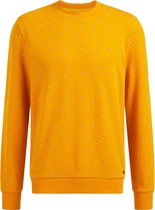 WE Fashion Heren sweater met dessin