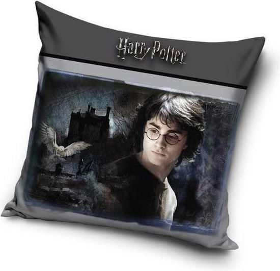 Harry Potter kussen sierkussen | gevuld 38x38cm | bol.com