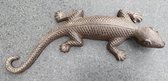 Gietijzeren Hagedis - Salamander Donkerbruin
