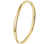 Geelgouden Bangle scharnier ovale buis 5 x 60 mm 4023294