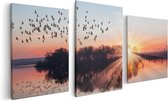 Artaza Canvas Schilderij Drieluik Groep Vogels Boven De Meer Met Zonsondergang - 120x60 - Foto Op Canvas - Canvas Print