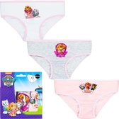 Set van 3 Paw Patrol, Skye onderbroeken maat 104/110