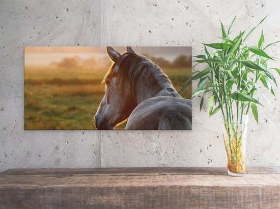 Artaza Peinture sur toile Cheval dans la prairie pendant le coucher du soleil – 40 x 20 – Klein – Image sur toile – Impression sur toile