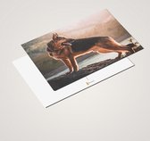 Cadeautip! Luxe Duitse Herder Ansichtkaarten set 10x15 cm | 24 stuks