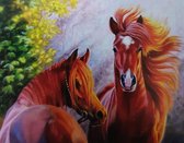 Diamond painting Paarden, 50 x 40 cm, Partail painting, ronde steentjes