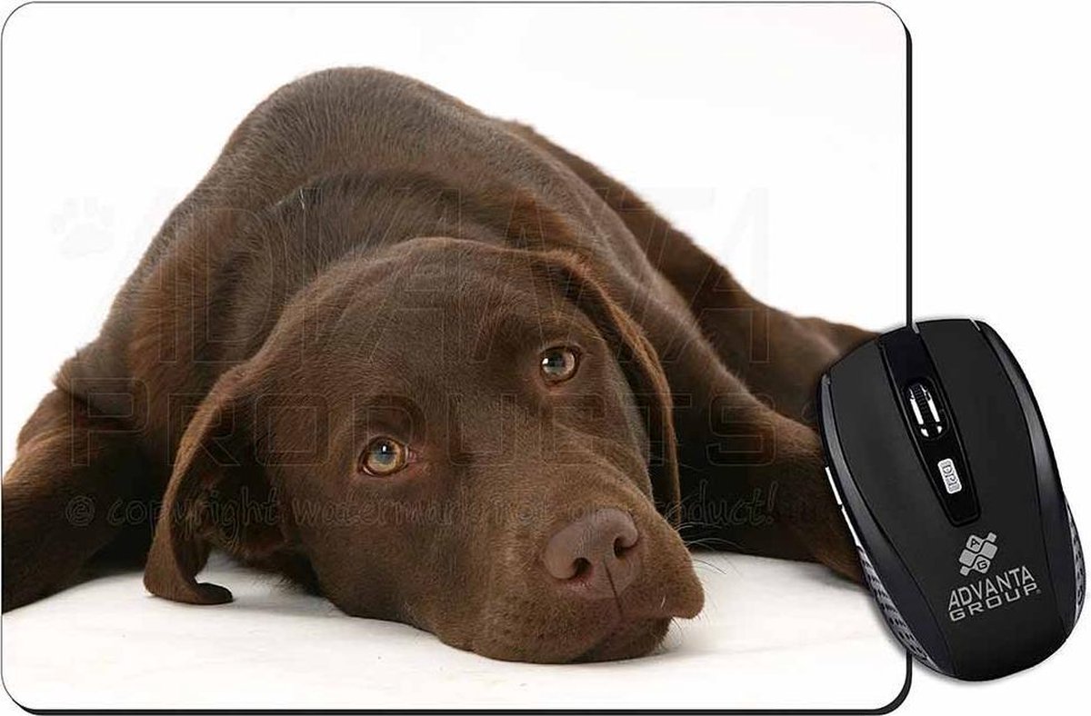 Bruine Labrador (ligt neer) Muismat