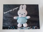 kleintje fotografie geboorte kaart Nijntje  jongen