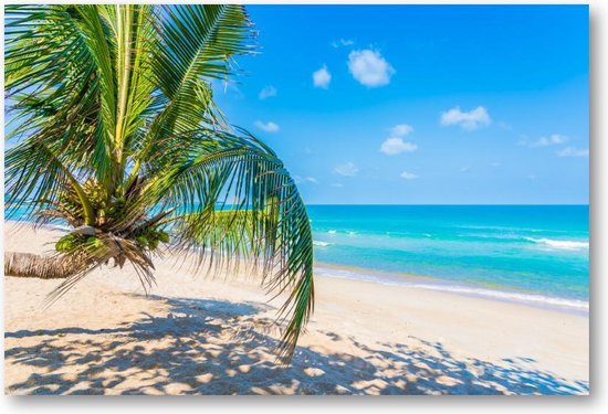Plagen defect wijs Tropisch strand met palmboom - 1500 Stukjes puzzel voor volwassenen -  Natuur | bol.com