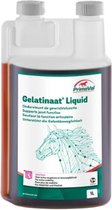 Primeval Gelatinaat Paard 1 liter