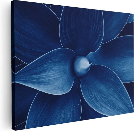 Artaza Canvas Schilderij Blauwe Agave Plant - Bloem - 40x30 - Klein - Foto Op Canvas - Canvas Print