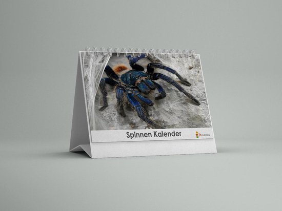 Cadeautip! Spinnen Bureau-verjaardagskalender | Spinnen bureaukalender | Spinnen kalender 20x12.5 cm
