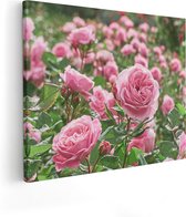 Artaza Canvas Schilderij Roze Rozen Bloemenveld - 50x40 - Foto Op Canvas - Canvas Print