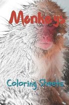 Monkey Coloring Sheets