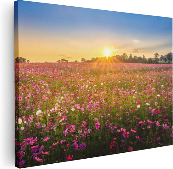 Artaza Canvas Schilderij Bloemenveld Met Roze Kosmos  - 40x30 - Klein - Foto Op Canvas - Canvas Print