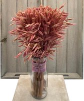 Droogbloemen in glas - grassoort - pink - 6x6x33cm