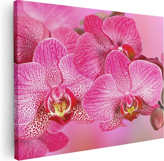 Artaza Canvas Schilderij Roze Orchidee Bloemen - 40x30 - Klein - Foto Op Canvas - Canvas Print