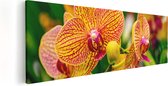 Artaza Canvas Schilderij Geel Rode Orchidee Bloemen - 90x30 - Foto Op Canvas - Canvas Print