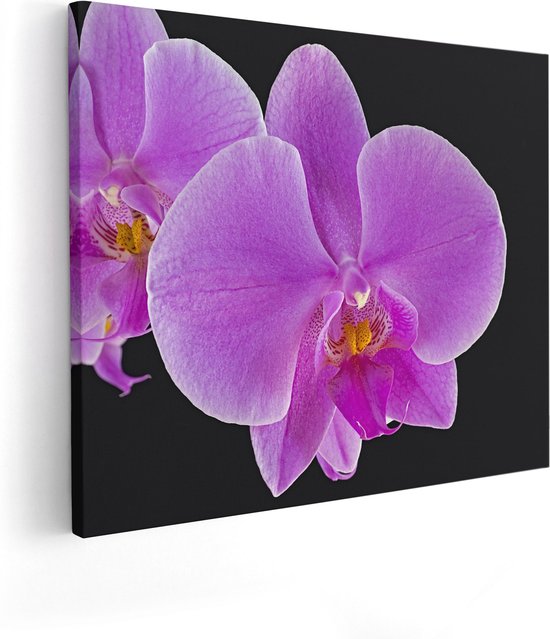 Artaza Canvas Schilderij Licht Paarse Orchidee - Bloem - 100x80 - Groot - Foto Op Canvas - Canvas Print