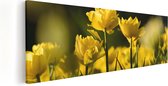 Artaza Canvas Schilderij Gele Tulpen - Bloemen - 120x40 - Groot - Foto Op Canvas - Canvas Print