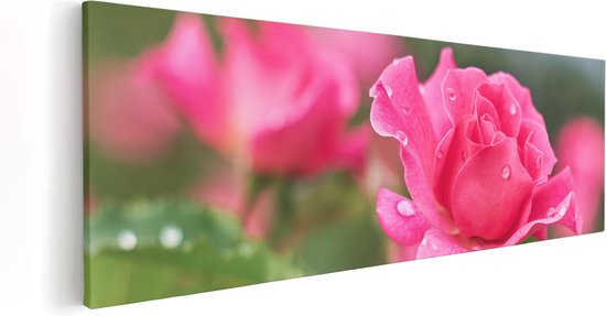 Artaza Canvas Schilderij Roze Roos Met Waterdruppels - 120x40 - Groot - Foto Op Canvas - Canvas Print