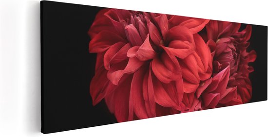 Artaza Canvas Schilderij Rode Dahlia Bloemen - 60x20 - Foto Op Canvas - Canvas Print