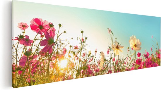 Artaza Canvas Schilderij Kosmos Bloemenveld Met Een Opkomende Zon - 60x20 - Foto Op Canvas - Canvas Print