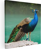 Artaza Canvas Schilderij Kleurrijke Pauw Bij Het Water - 70x70 - Foto Op Canvas - Canvas Print