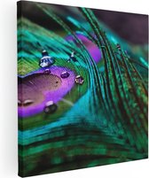 Artaza Canvas Schilderij Kleurrijke Pauw Veer Met Waterdruppels  - 40x40 - Klein - Foto Op Canvas - Canvas Print