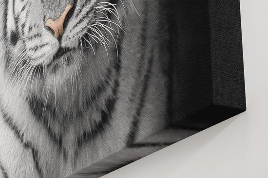 Artaza Toile Peinture Tigre Aux Yeux Bleus - Zwart Wit - 60x30 - Tableau Sur Toile - Impression Sur Toile