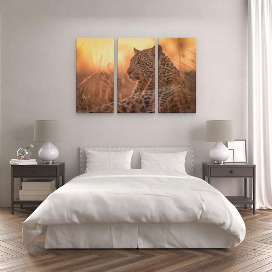 Artaza - Triptyque de peinture sur toile - Léopard se reposant au soleil - 120x80 - Photo sur toile - Impression sur toile