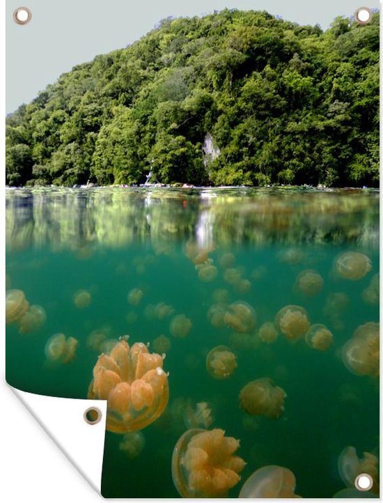 Tuinposter 120x160 cm - Tuindecoratie Kwal - Water - Groen - Poster voor in de tuin - Buiten decoratie - Schutting tuinschilderij - Tuindoek muurdecoratie - Wanddecoratie balkondoek