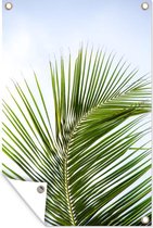 Muurdecoratie Palmbladeren - Lucht - Tropisch - 120x180 cm - Tuinposter - Tuindoek - Buitenposter