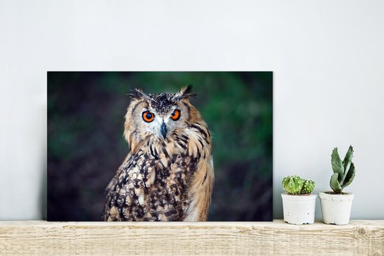 Eagle Owl Aluminium 30x20 cm - petit - Tirage photo sur aluminium (décoration murale en métal)
