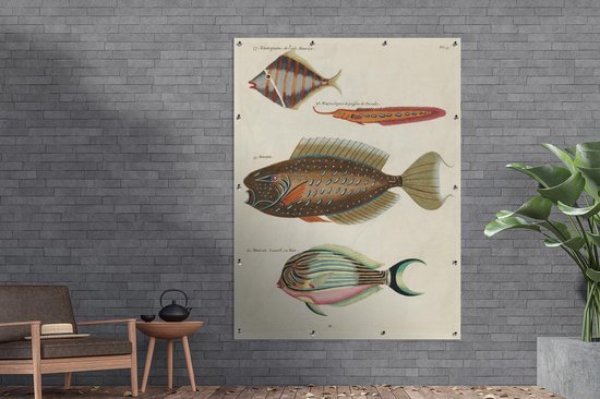Décoration murale' extérieur Vintage - Animal - Poisson - 120x160 cm