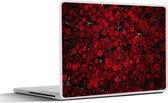 Laptop sticker - 11.6 inch - Bloemen - Rozen - Rood - 30x21cm - Laptopstickers - Laptop skin - Cover