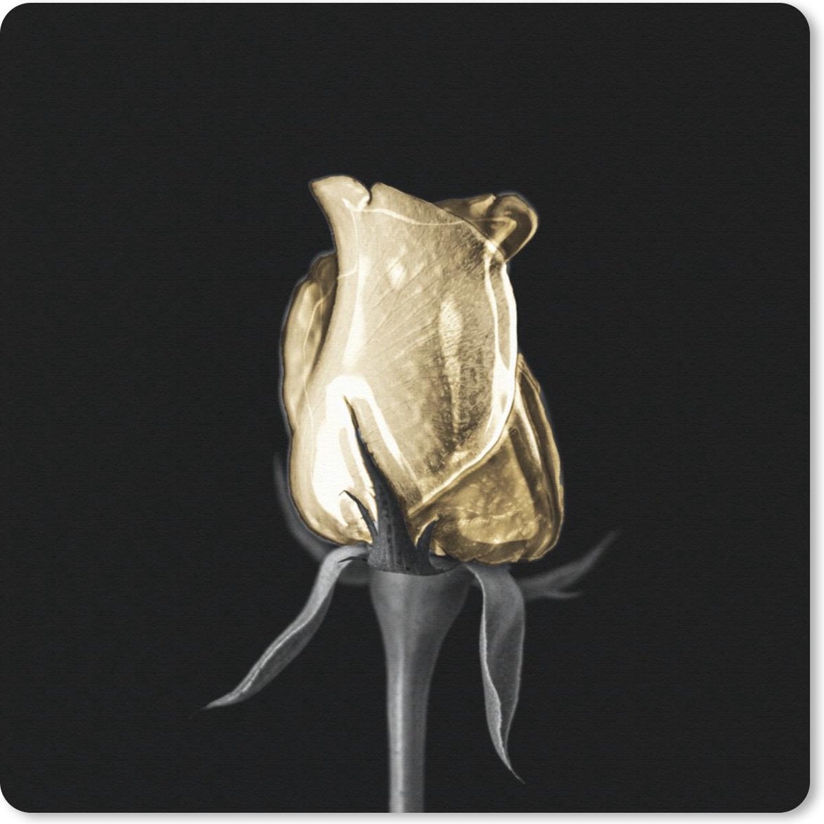 Muismat 30x30 cm - Mousepad Rozen - Bloemen - Goud - Zwart - Muismatten