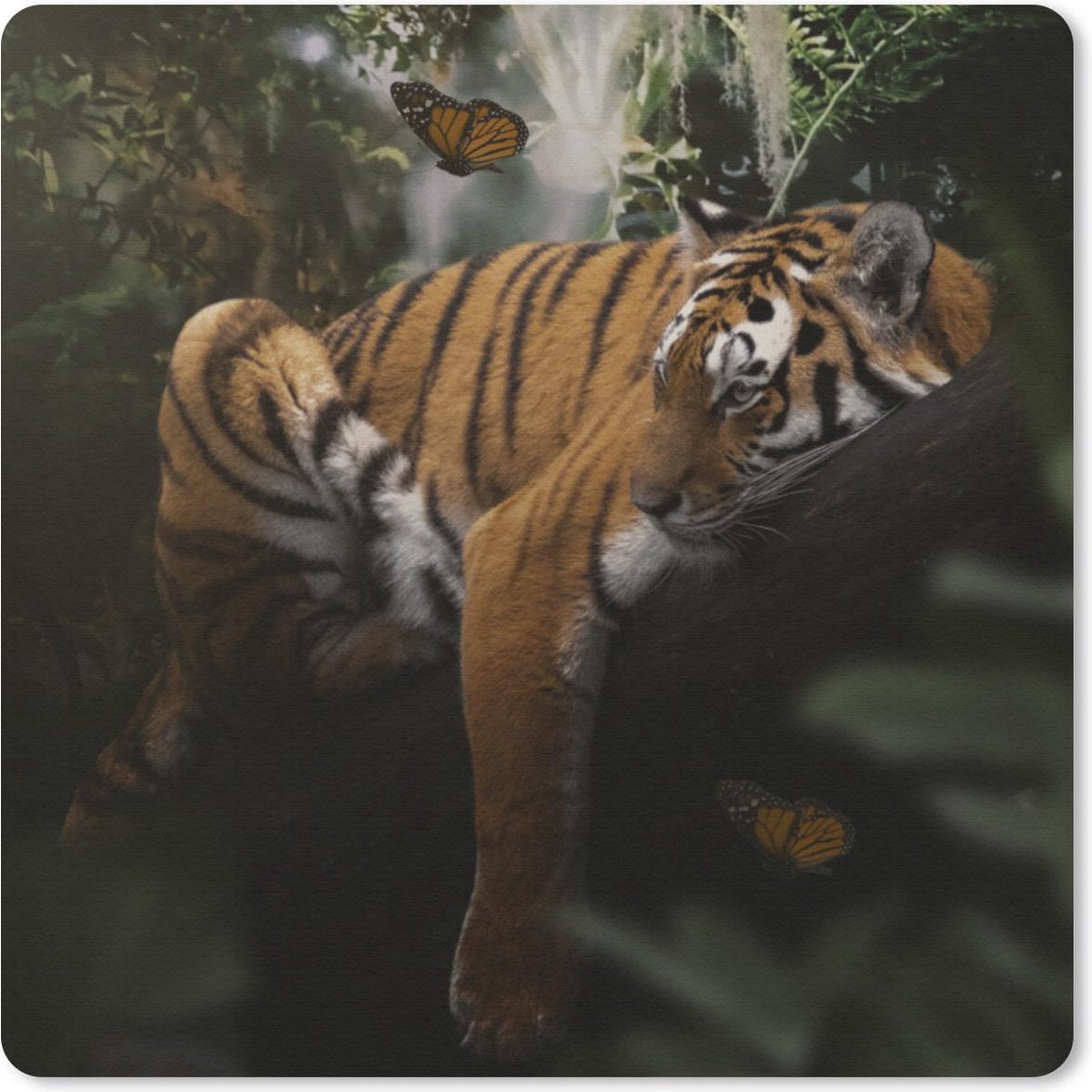 Muismat 30x30 cm - Mousepad Vlinder - Jungle - Tijger - Muismatten