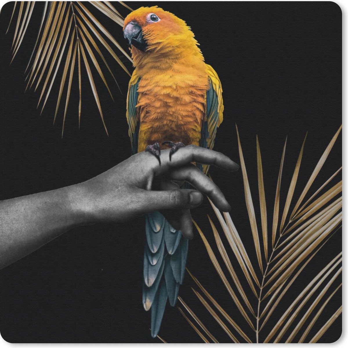 Muismat 30x30 cm - Mousepad Vogel - Papegaai - Hand - Varen - Muismatten