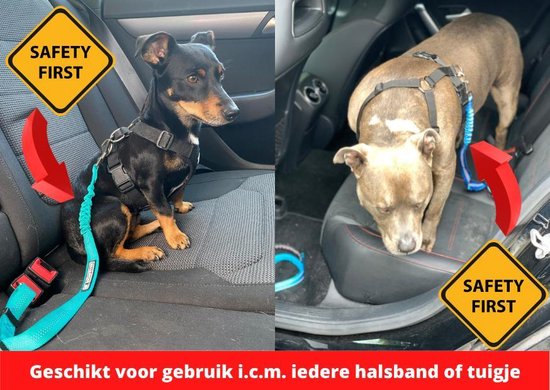 Autogordel voor honden - blauw - voor optimale veiligheid onderweg voor hond en baasje - schok absorberend - hondengordel - voor alle honden - bestand tegen grote krachten - geschikt voor bijna alle auto's