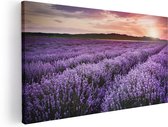 Artaza - Peinture sur toile - Champ de fleurs avec Lavande violette - Fleurs - 60x30 - Photo sur toile - Impression sur toile