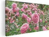Artaza Canvas Schilderij Roze Rozen Bloemenveld - 60x30 - Foto Op Canvas - Canvas Print