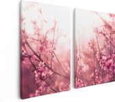 Artaza Canvas Schilderij Tweeluik Roze Bloesemboom Met Zonneschijn - 80x60 - Foto Op Canvas - Canvas Print
