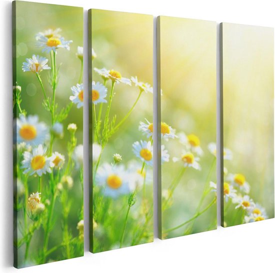 Artaza Canvas Schilderij Vierluik Witte Kamille Bloemen Met Zonneschijn - 80x60 - Foto Op Canvas - Canvas Print