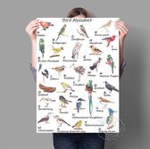 ABC Alfabet Dieren Print Poster Wall Art Kunst Canvas Printing Op Papier Met Waterproof Inkt 55x80cm Multi-color