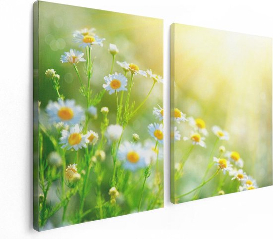 Artaza - Diptyque de peinture sur toile - Fleurs de camomille Witte avec soleil - 120x80 - Photo sur toile - Impression sur toile
