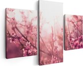 Artaza Canvas Schilderij Drieluik Roze Bloesemboom Met Zonneschijn - 90x60 - Foto Op Canvas - Canvas Print