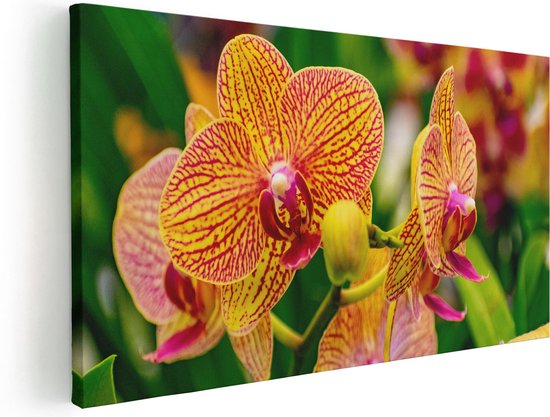 Artaza Canvas Schilderij Geel Rode Orchidee Bloemen - 80x40 - Foto Op Canvas - Canvas Print